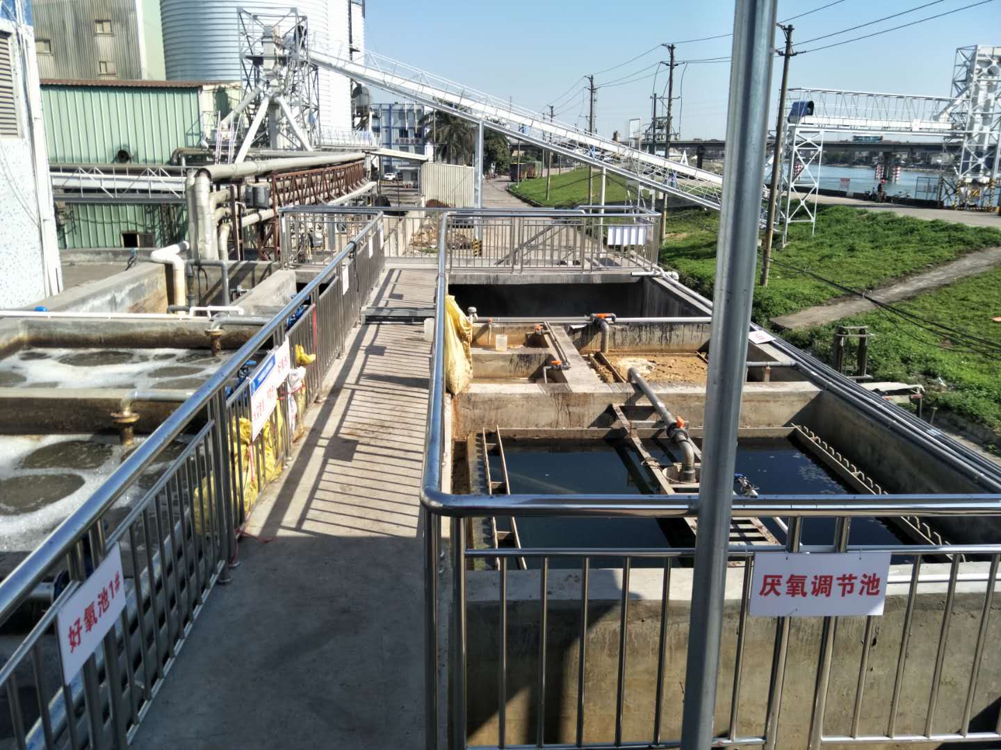 食品廢水植物處理技術(shù)，你知道嗎？